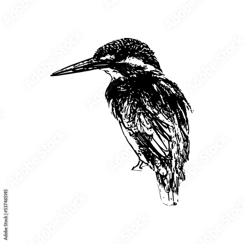 vector illustration of Hand draws bird line art. Adult book coloring pages line art.
