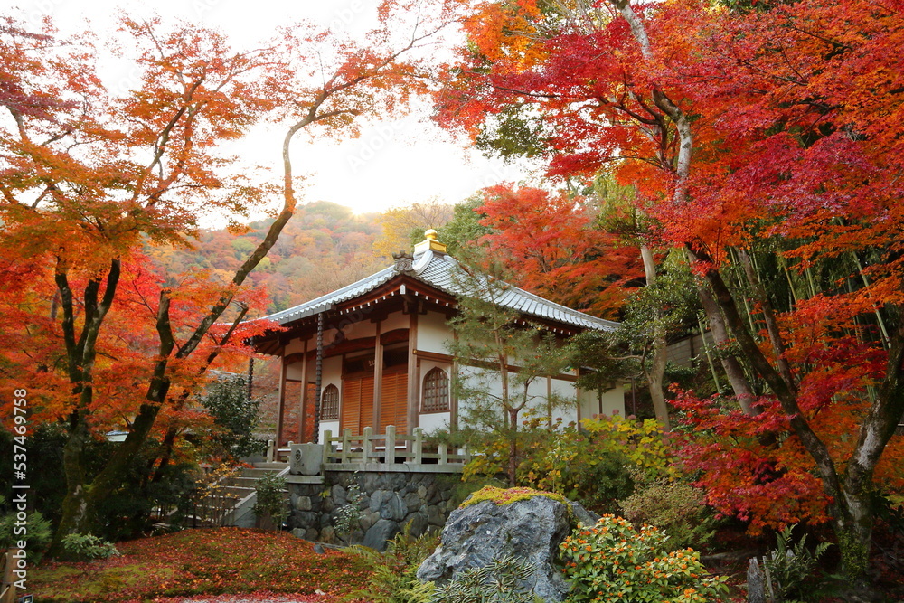 Leaf, Cityscape, Red