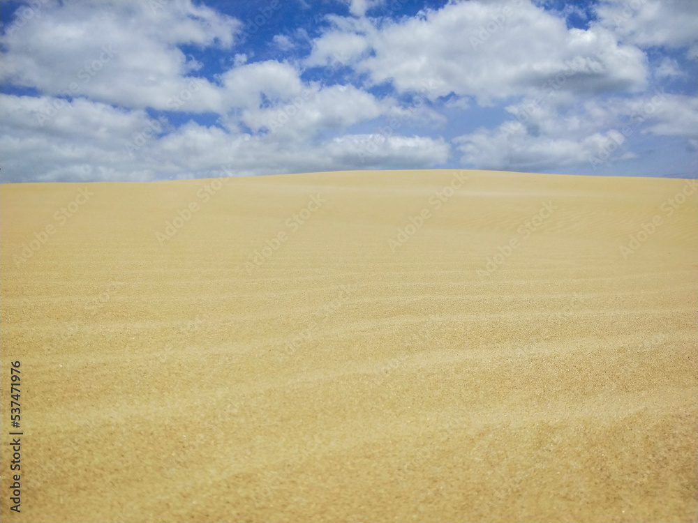 Te Paki sand dunes in Northland, New Zealand. 