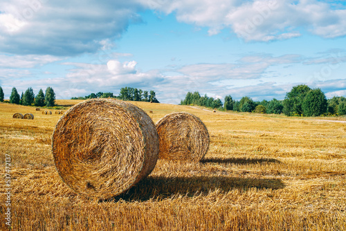 hay in round stacks, field cleaning, agriculture, golden hay
