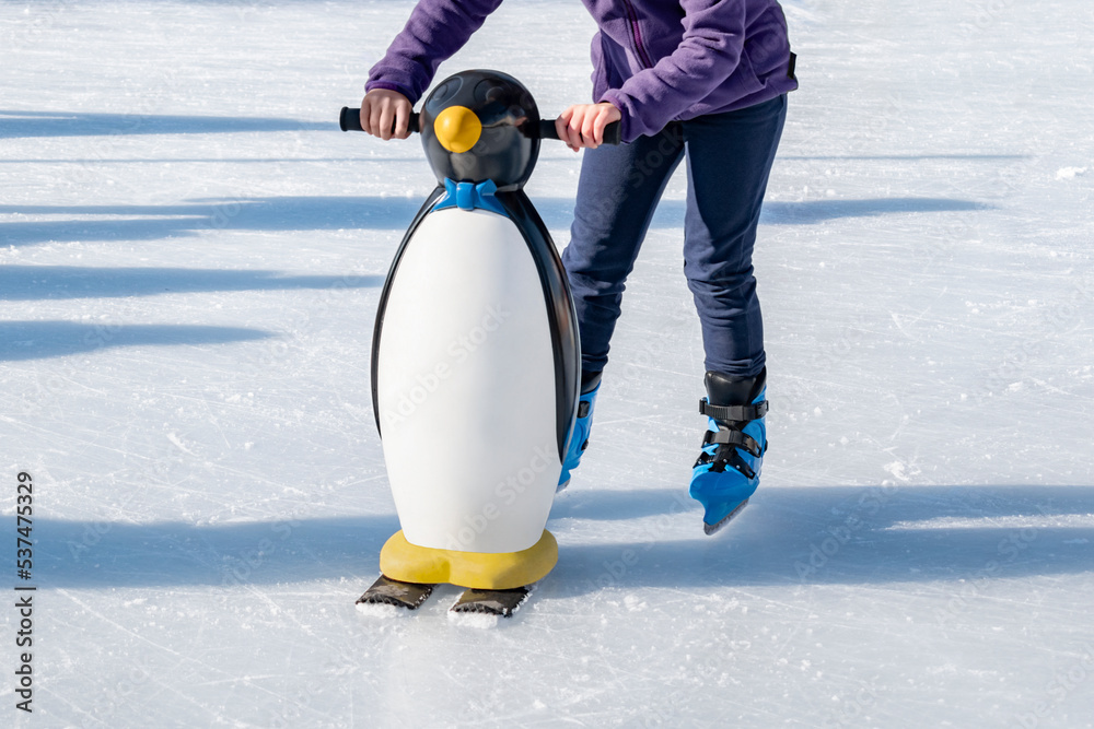 Ice rink skating school concept. Young girl learning to skate with  ice-skating aid. Winter sports, active leisure on frosty day outside.  Mockup, copy space for tex or design Photos | Adobe Stock