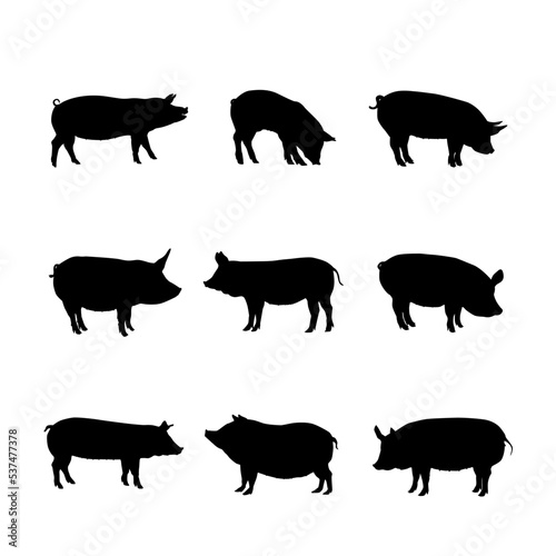 Pig Silhouette Collection