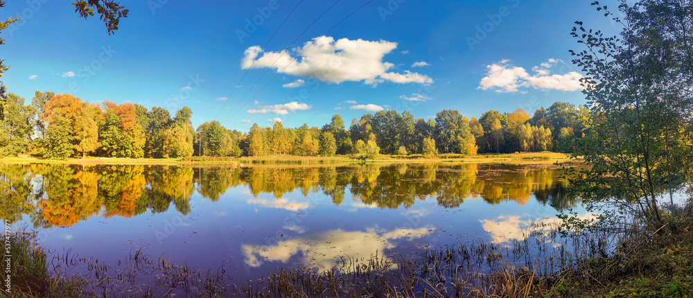 Fototapeta premium Staw Długi Bukowiec