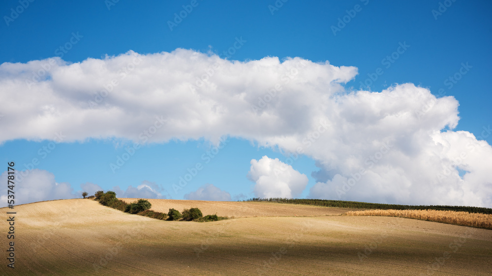 Obraz premium Aerial view of agricultural fields and sky with clouds