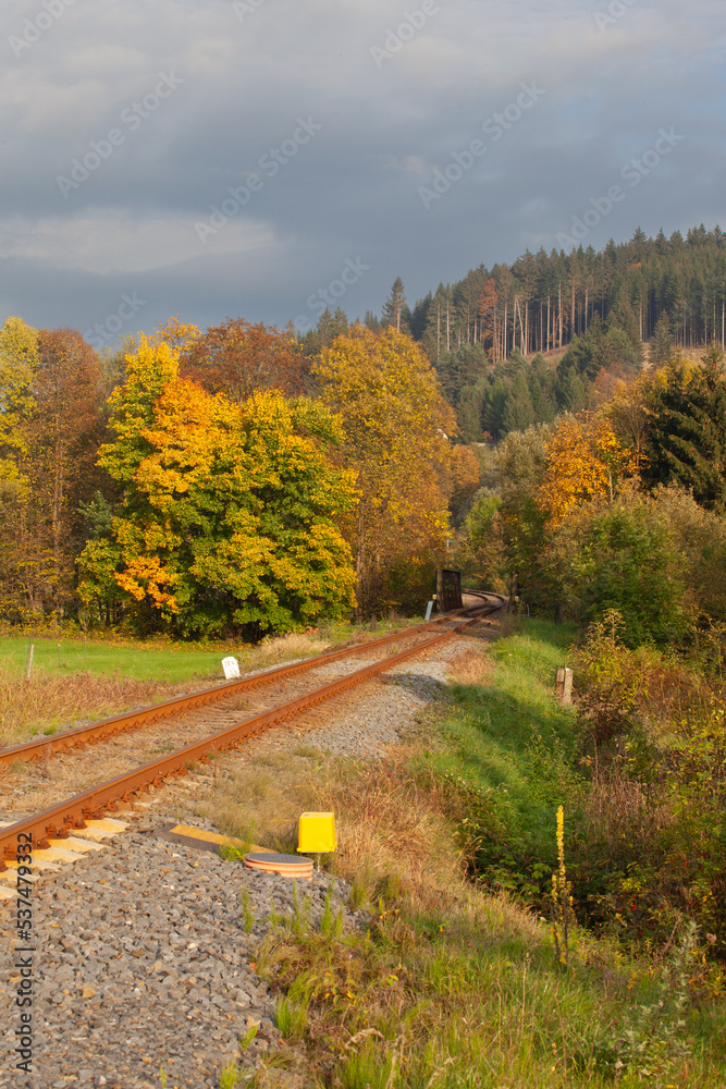The railroad passes through the forest in autumn. The rusty rail crosses the forest with autumn colors. In the distance, a coniferous forest covers a small mountain. The perspective is diagonal. The railroad passes through the forest in autumn. The rusty rail crosses the forest with autumn colors. In the distance, a coniferous forest covers a small mountain. The perspective is diagonal.