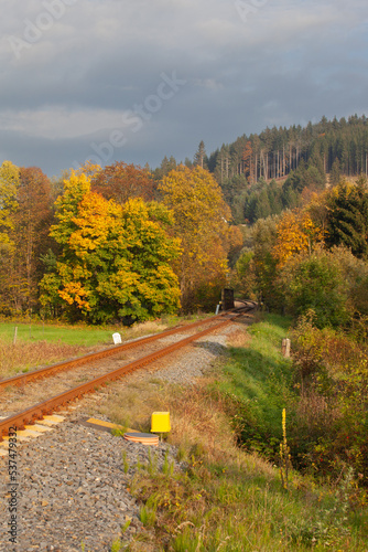 The railroad passes through the forest in autumn. The rusty rail crosses the forest with autumn colors. In the distance, a coniferous forest covers a small mountain. The perspective is diagonal.