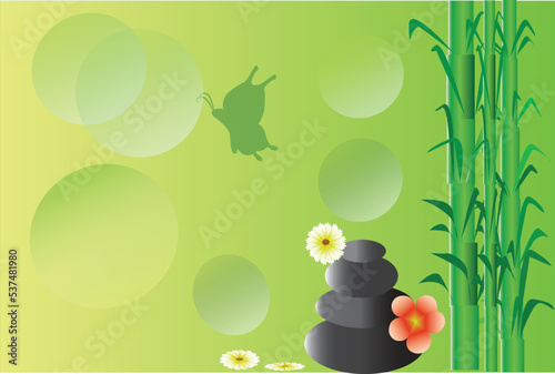  green background ,bamboo ,spa ,flowers ,nature . 