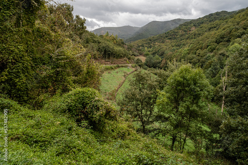 Valley, forests, meadows and mountains on the way up to O Cebreiro, Spain. French Way of Saint James.