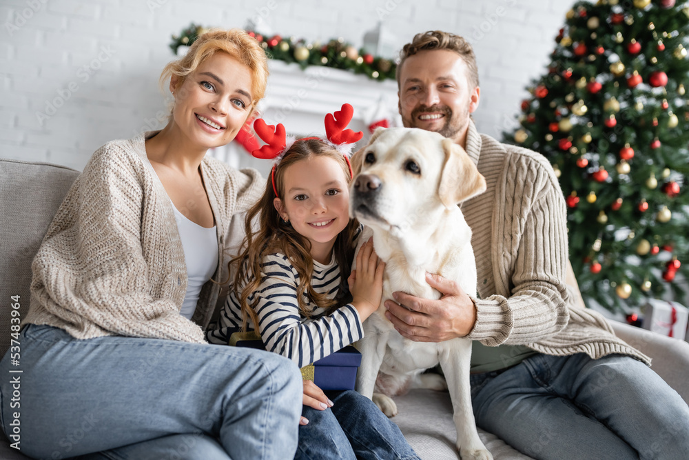 Smiling parents looking at camera near daughter with christmas headband hugging labrador at home Smiling parents looking at camera near daughter with christmas headband hugging labrador at home