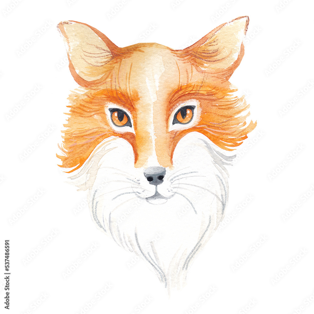 Obraz premium Watercolor hand drawn red fox head isolated 
