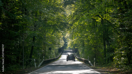 Car driving in the dense forest in sunlight 