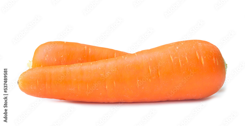 Two fresh orange carrots isolated on white background with clipping path, Close up of healthy vegetable root with full focus Two fresh orange carrots isolated on white background with clipping path, Close up of healthy vegetable root with full focus