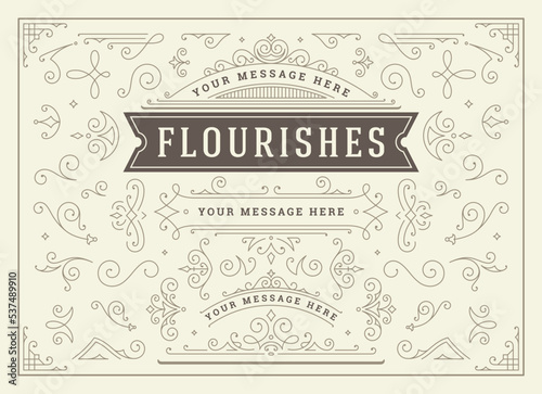 Vintage ornaments swirls and scrolls decorations design elements vector set