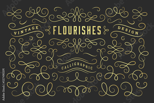 Calligraphic design elements vintage ornaments swirls and scrolls ornate decorations vector design elements