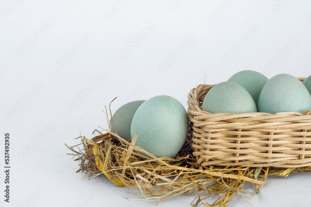 Fototapeta premium Duck eggs are in the hay nest and in the wicker basket on white background