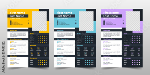 Modern resume or cv template