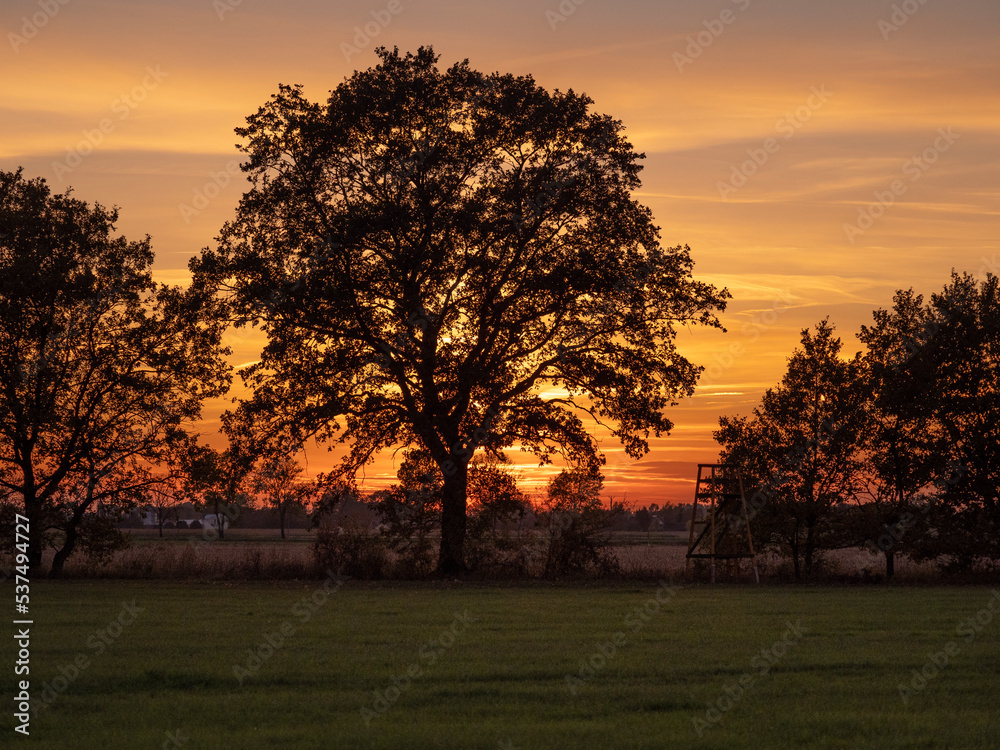 Naklejka premium sunset in the countryside