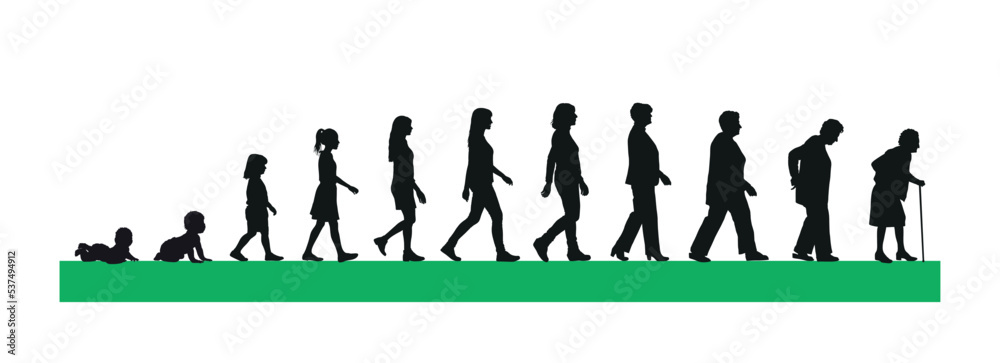 Φωτογραφία Life cycles of woman from a little baby to senior woman silhouette vector illustration