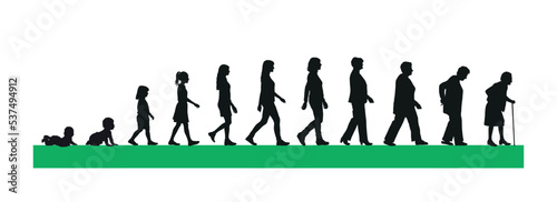 Life cycles of woman from a little baby to senior woman silhouette vector illustration.
