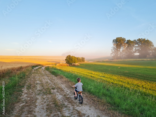 Little boy riding bike in countryside. Riding person at sunset in nature. Child spending his free time active. Freedom, beautiful landscape. Happy childhood.