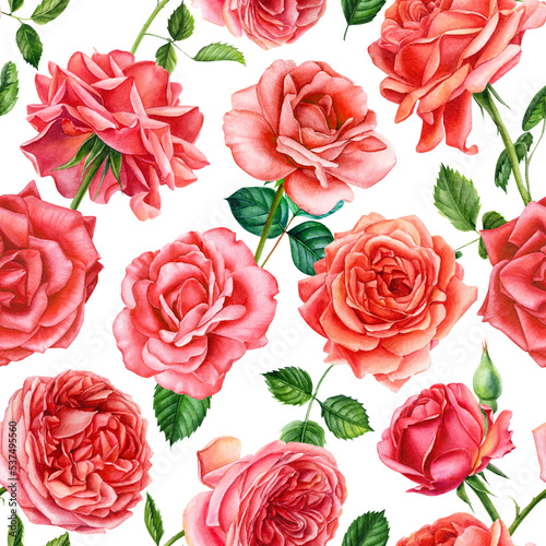 Floral Seamless pattern. Roses flowers, watercolor botanical illustration © Hanna