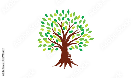 Organic natural and healthy olive tree silhouette logo isolated on white background. Modern vector green plant icon sign design artwork. Premium quality oil product logotype flat emblem illustration.