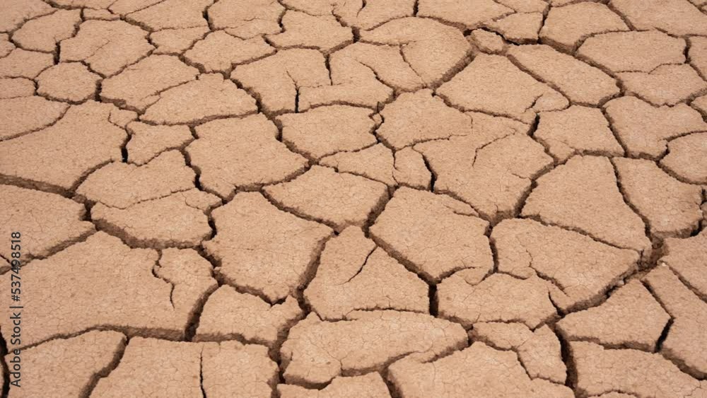 Desiccated cracked earth - climate change concept; close-up pan Desiccated cracked earth - climate change concept; close-up pan