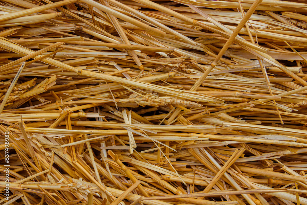 Background dry straw close-up, selective focus. Background dry straw close-up, selective focus.
