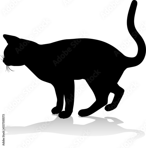 Silhouette Cat Pet Animal