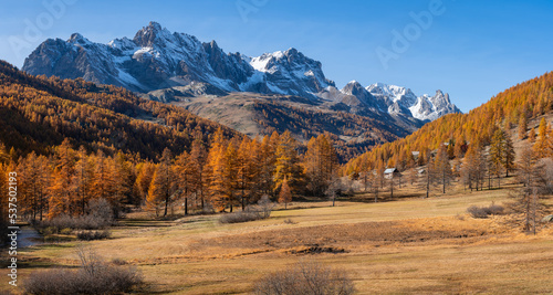 Claree Valley in Autumn colors. Larch trees in Vallee de la Claree. Cerces Massif, Nevache, Hautes Alpes. Alps, France © Francois Roux