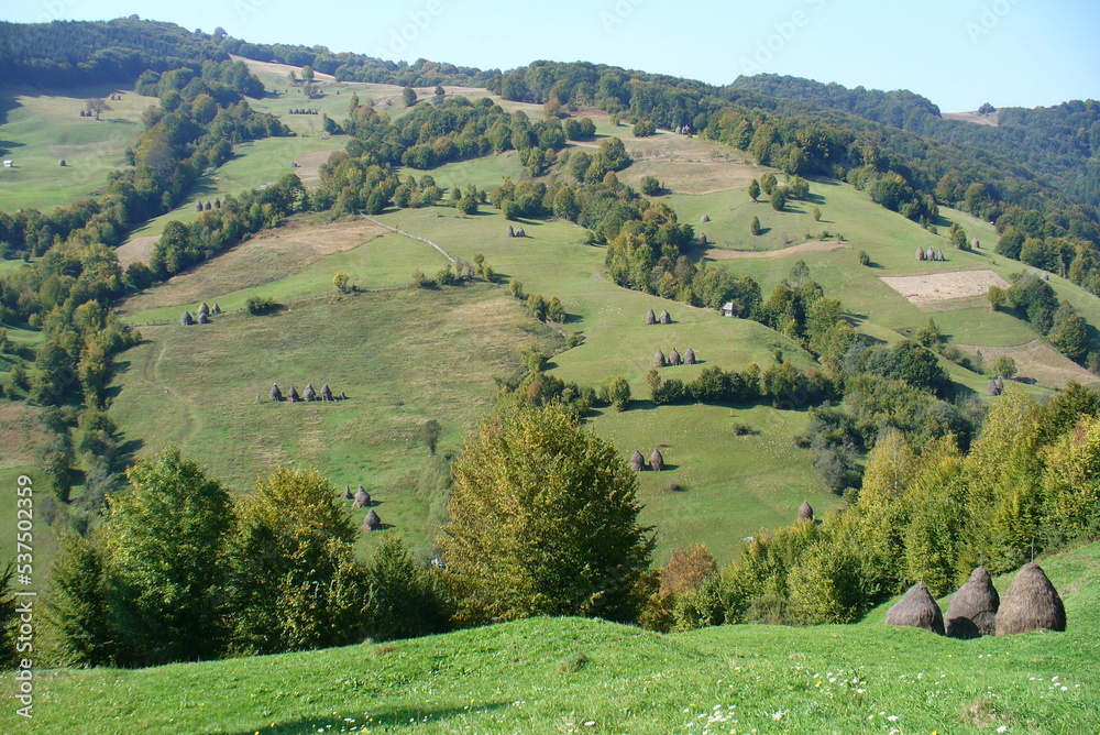 Rural landscape, Bistrita Nasaud region, Romania
