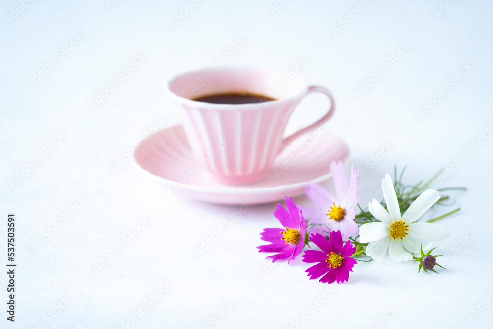 コスモスの花束とコーヒー（白バック）