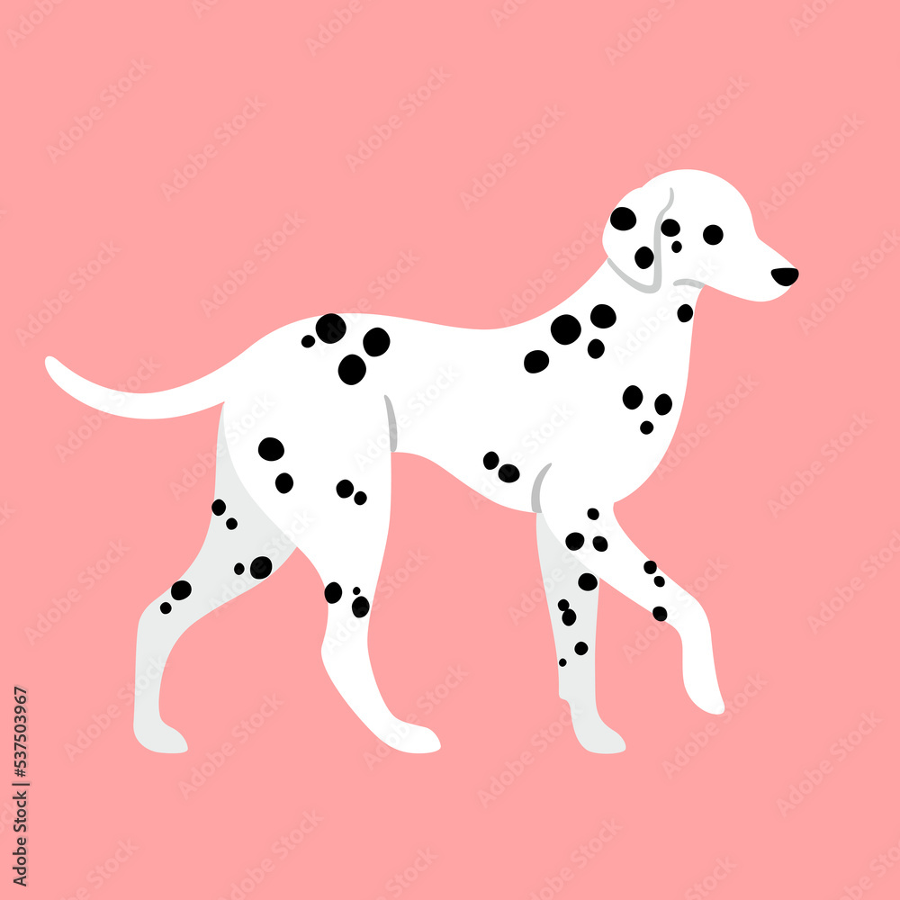 Cute happy dalmatian. Modern dog illustration. Flat vector print for clothing, packaging and postcards. 
