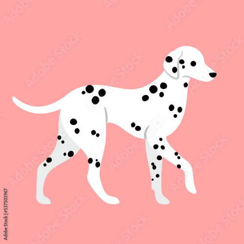 Cute happy dalmatian. Modern dog illustration. Flat vector print for clothing  packaging and postcards. 
