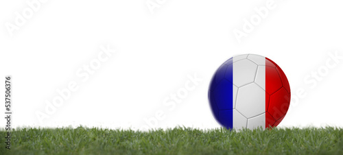 3D illustration france flag on soccer ball on grass  copy space with white background.