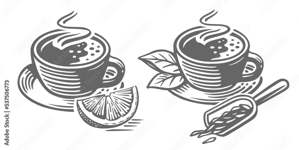 Green tea sketch. Cup drawing Green tea sketch. Cup drawing
