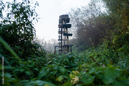 Abandoned watermill in the middle of the forest photo