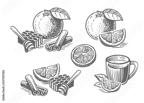 Orange fruit with honey and cinnamon drawing sketch.