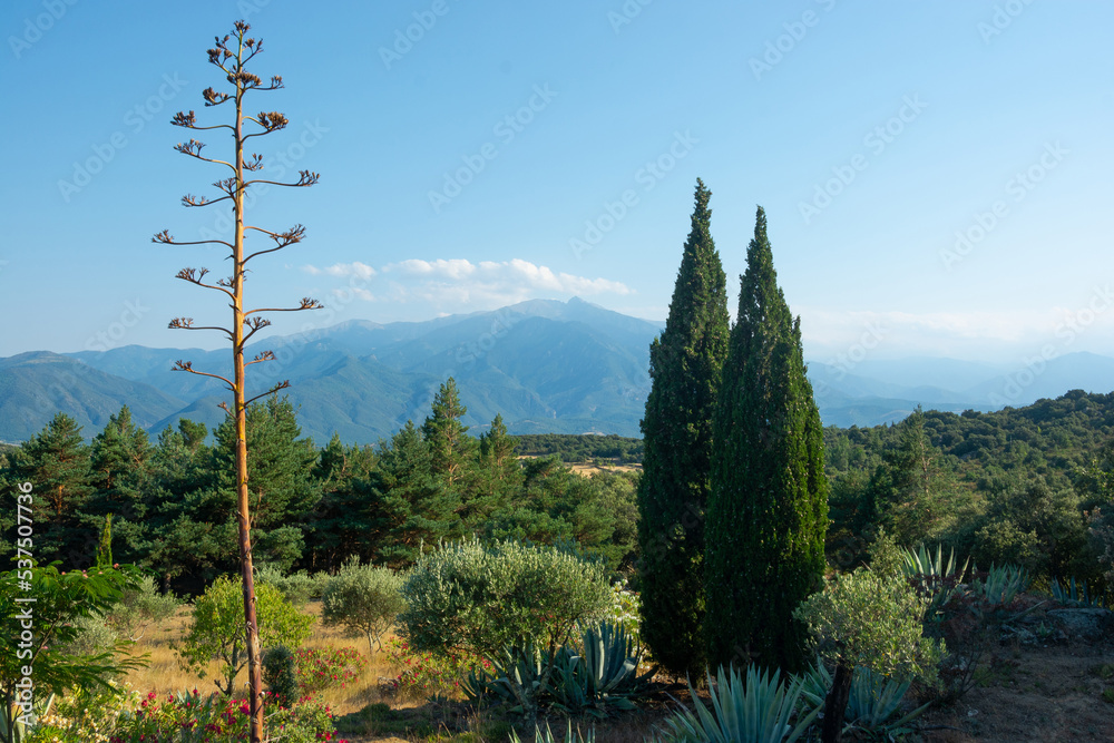 View of a Agave tree, mountains and beautiful landscape in the Pyrenees, France