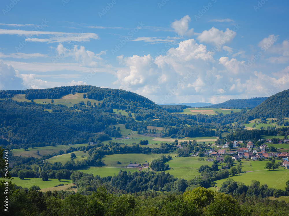 beautiful nature of Switzerland and France in summer time, Roggenburg village