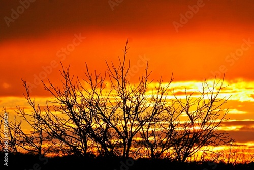 Orangeroter Sonnenuntergang auf dem Land