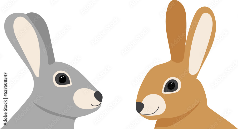 Fototapeta premium rabbits portrait, on white background, isolated vector
