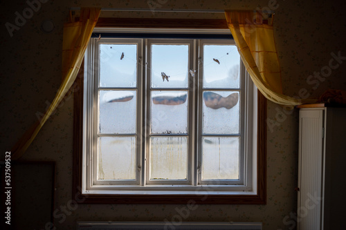 window in the old house