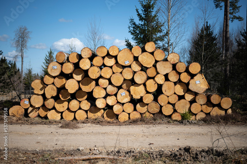 stack of firewood