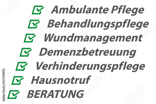 Pflegedienst, Angebotspalette
