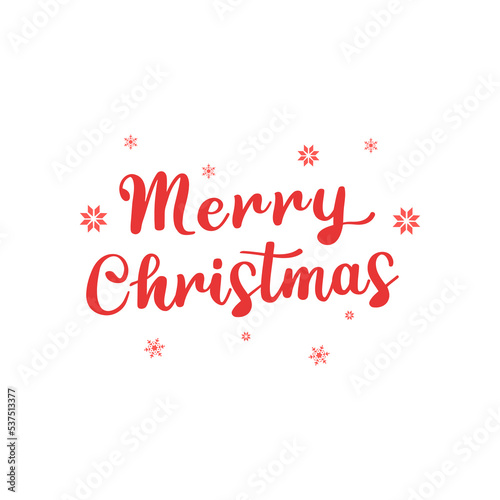 Merry Christmas lettering with snowflakes. Vector graphics in flat style