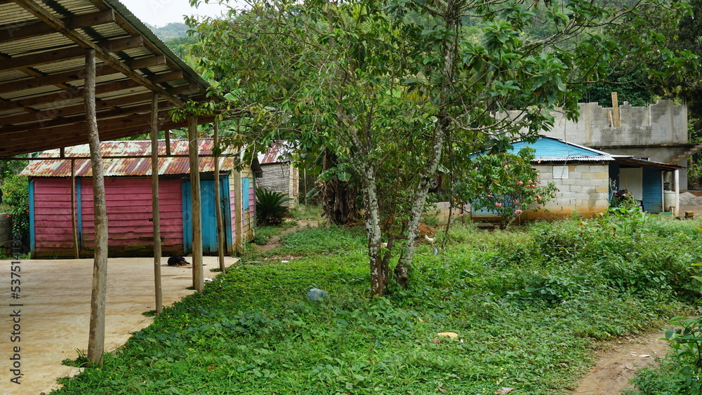 wooden houses in El Valle in the province of the Samana Peninsula in the Dominican Republic in the month of February 2022 wooden houses in El Valle in the province of the Samana Peninsula in the Dominican Republic in the month of February 2022