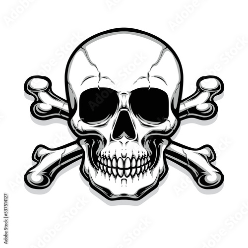 crossing bones skull vector logo