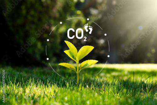 Carbon dioxide emissions, carbon footprint concept photo
