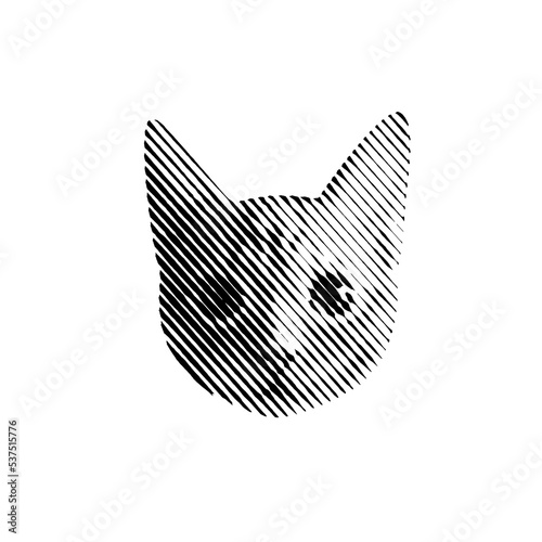 Cat engraving illustration. Halftone art